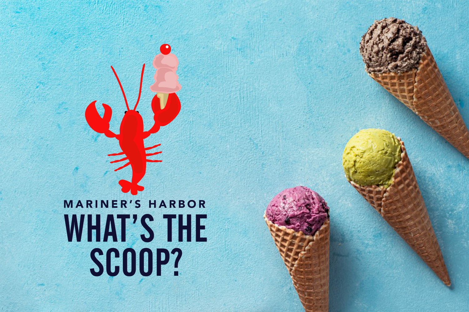 What's The Scoop? Photo